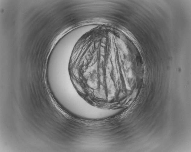 X0000085750850200704131709