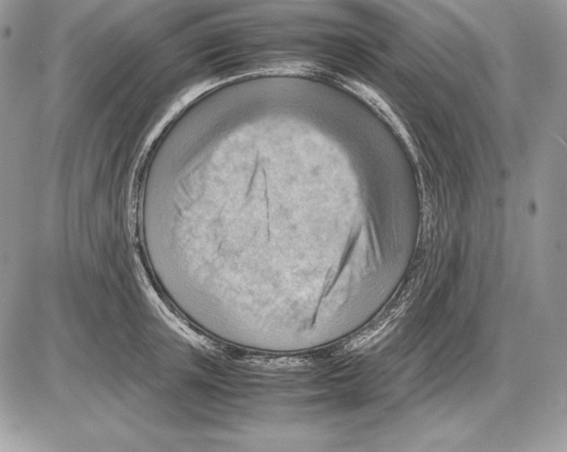 X0000085750851200704131709