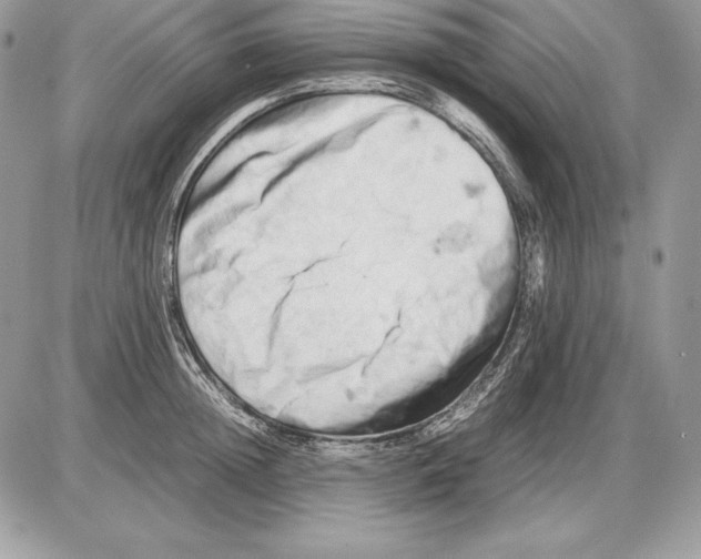 X0000085750852200704131709