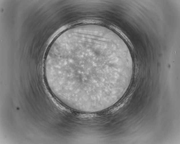 X0000085750853200704131709