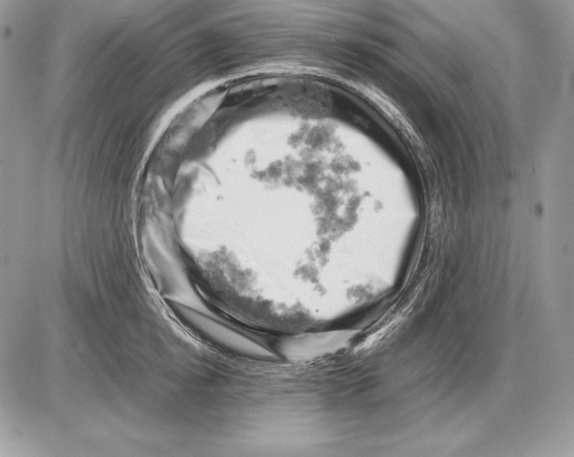 X0000085750854200704131709