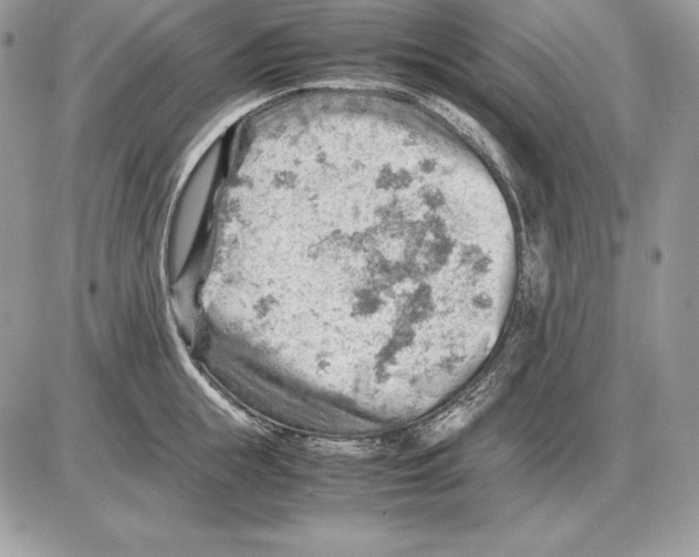 X0000085750855200704131709