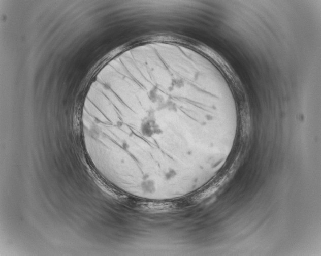 X0000085750857200704131709