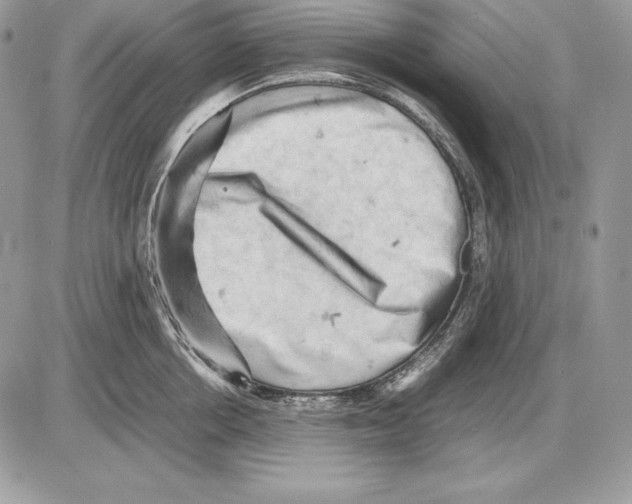 X0000085750858200704131709