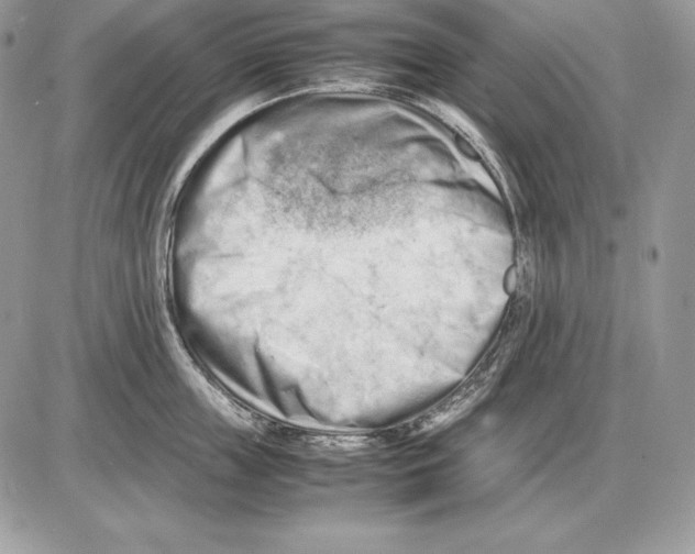 X0000085750859200704131709