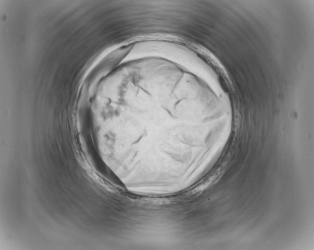 X0000085750860200704131709