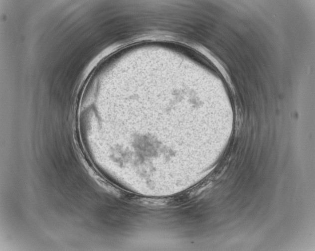 X0000085750861200704131709