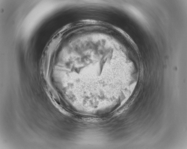 X0000085750862200704131709