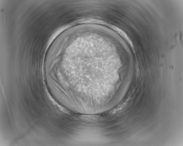 X0000085750863200704131709