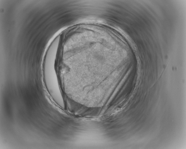 X0000085750864200704131709