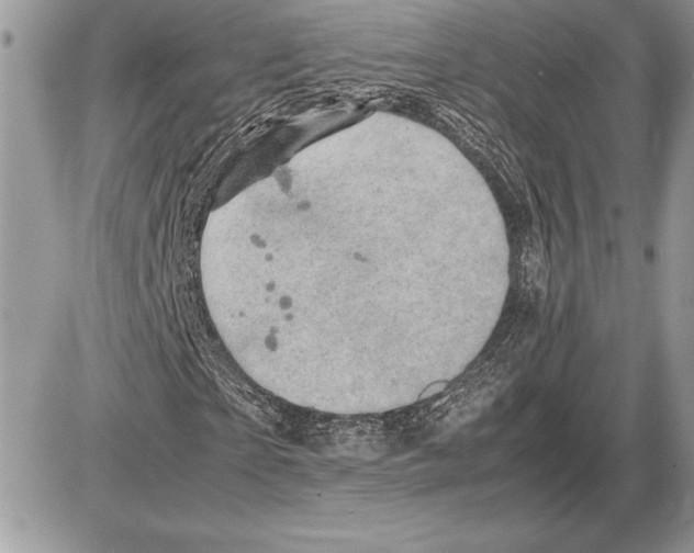 X0000085750865200704131708