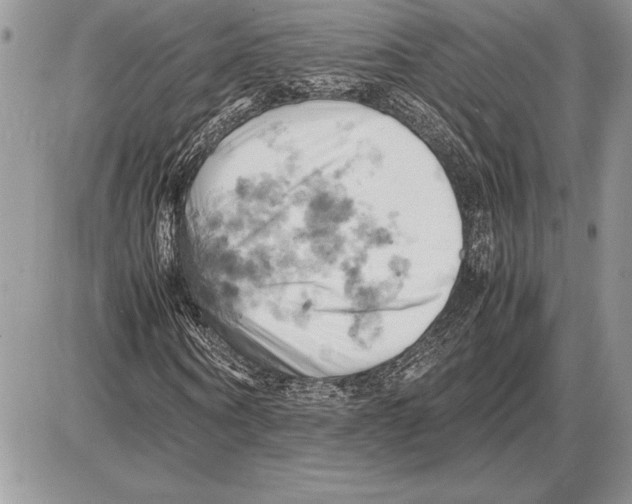 X0000085750866200704131708