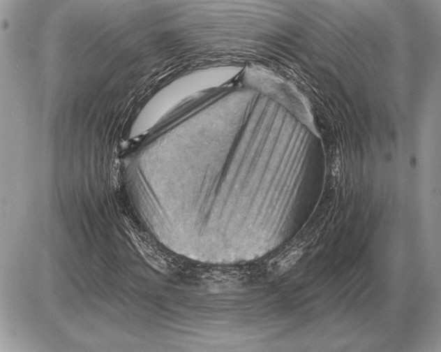 X0000085750868200704131708