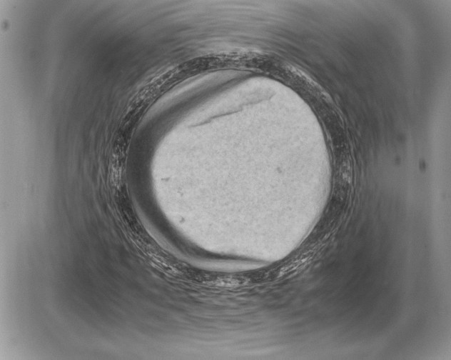 X0000085750869200704131708