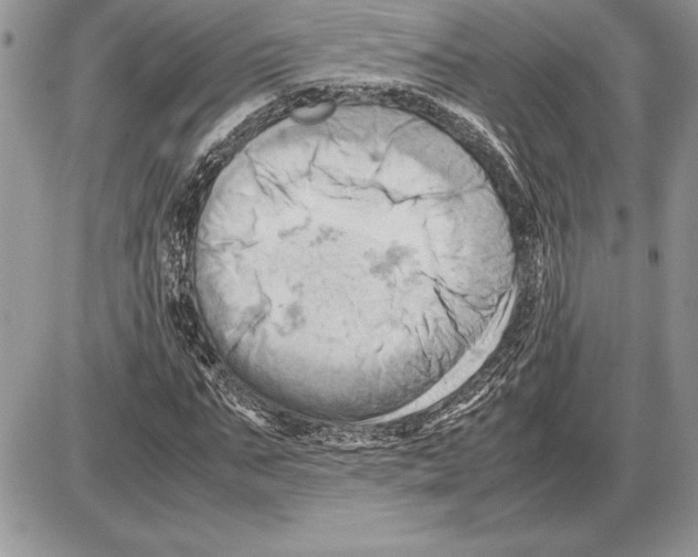 X0000085750871200704131708