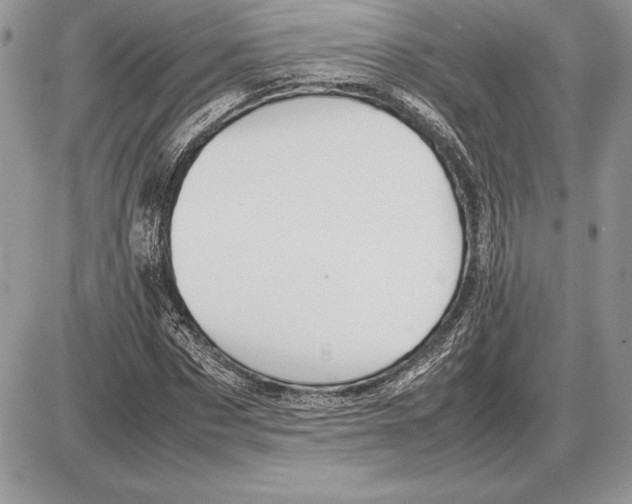 X0000085750873200704131708