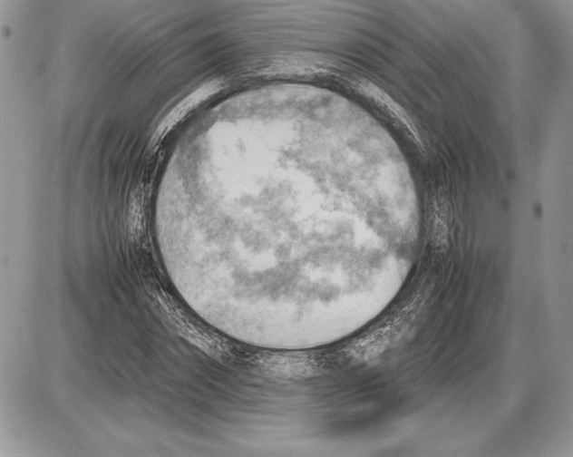 X0000085750874200704131708