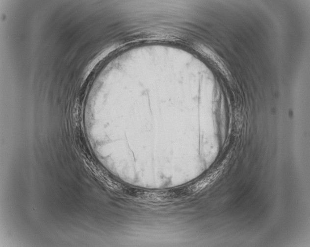 X0000085750875200704131708