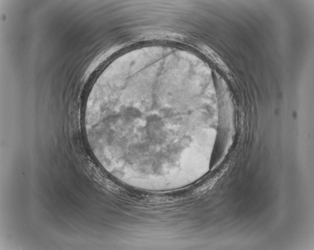 X0000085750877200704131708