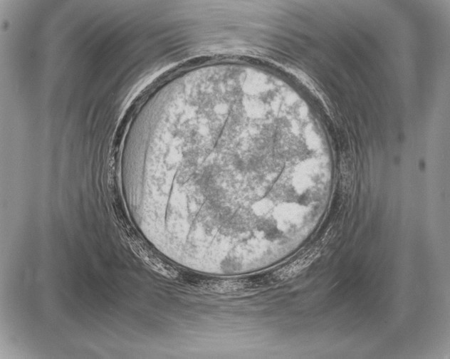 X0000085750879200704131708