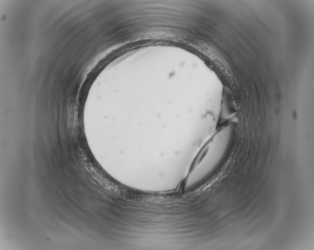 X0000085750880200704131708