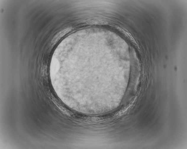 X0000085750881200704131708