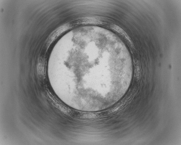 X0000085750882200704131708