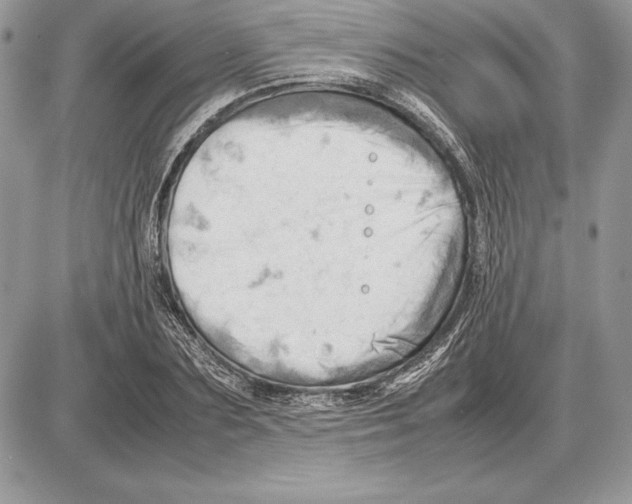 X0000085750883200704131708