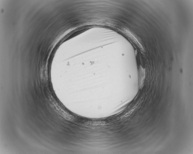 X0000085750884200704131708