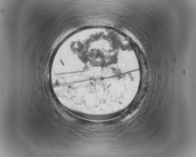 X0000085750885200704131708