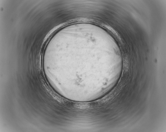 X0000085750886200704131708