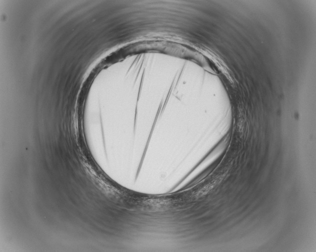 X0000085750888200704131708