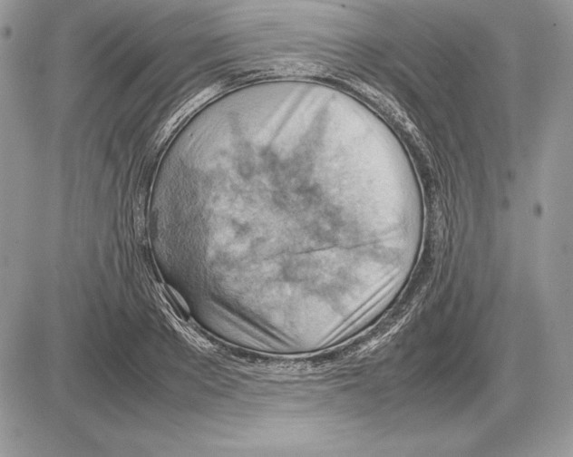 X0000085750889200704131708