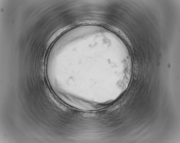 X0000085750890200704131708