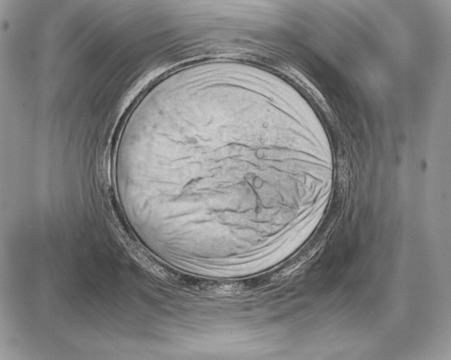 X0000085750891200704131708