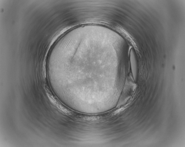 X0000085750892200704131708