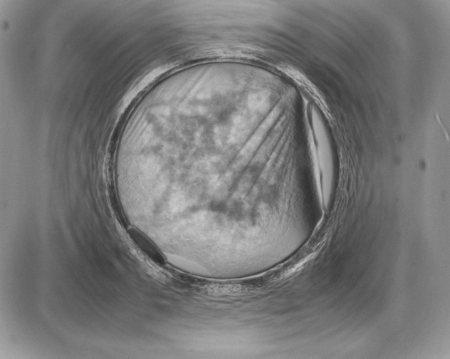 X0000085750893200704131708