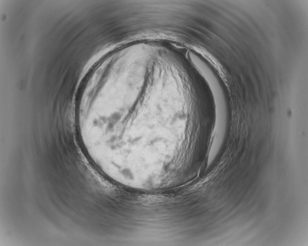 X0000085750894200704131708