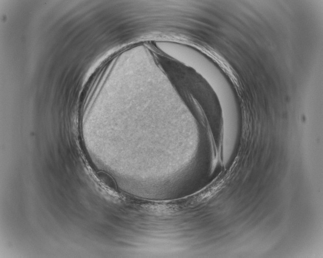 X0000085750896200704131708