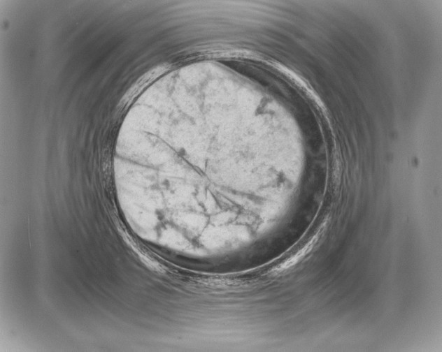 X0000085750897200704131708