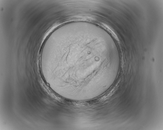 X0000085750899200704131708