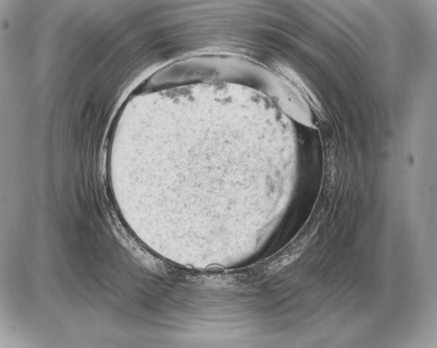 X0000085750900200704131708