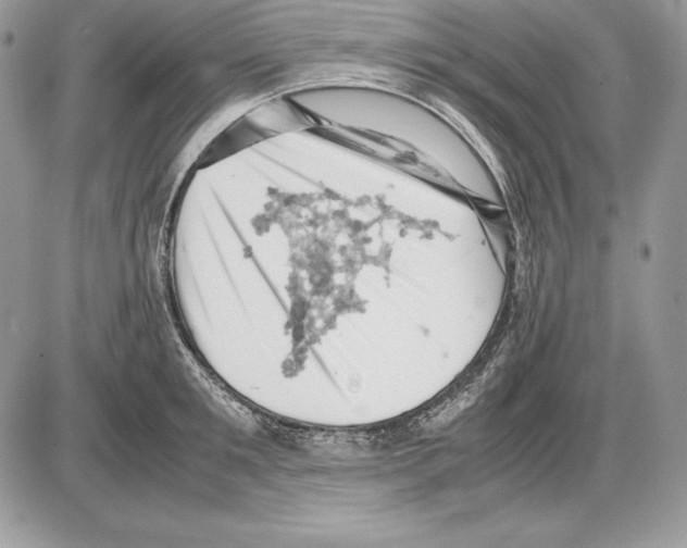 X0000085750901200704131708