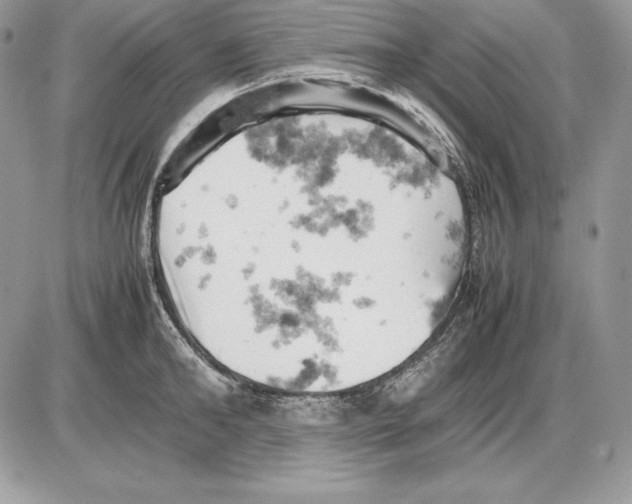 X0000085750902200704131708