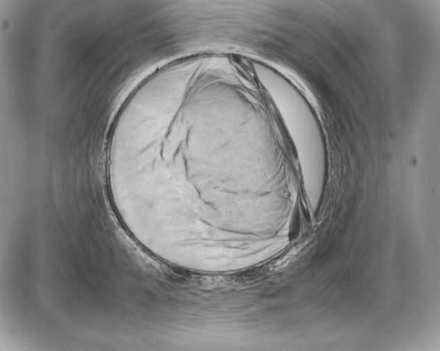 X0000085750903200704131708