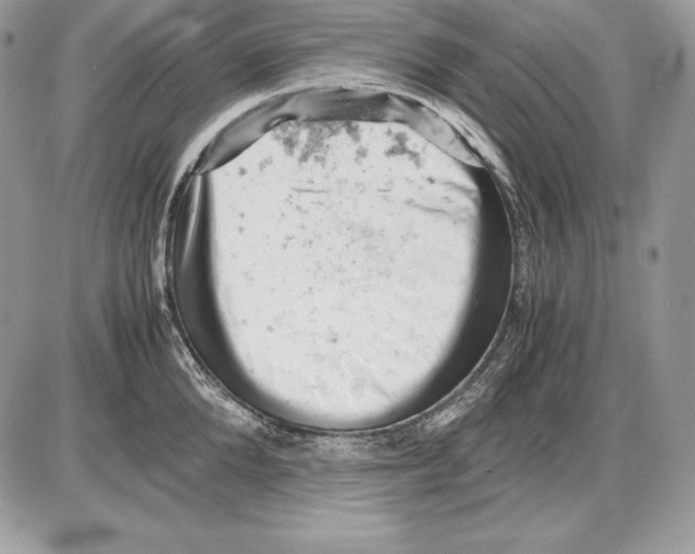 X0000085750904200704131708