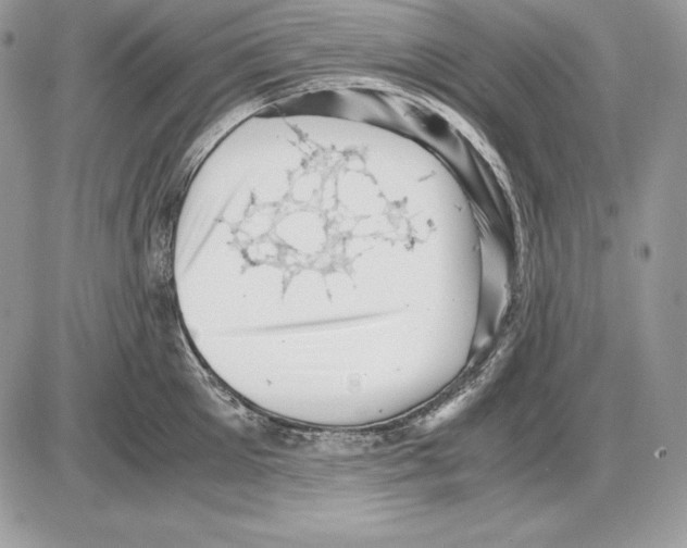 X0000085750905200704131708