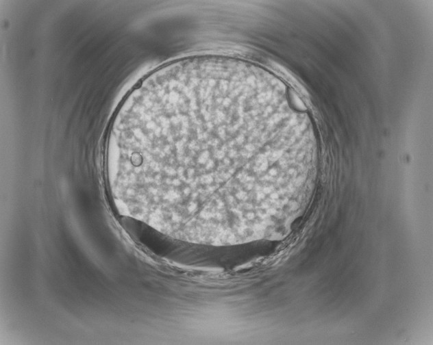 X0000085750907200704131708