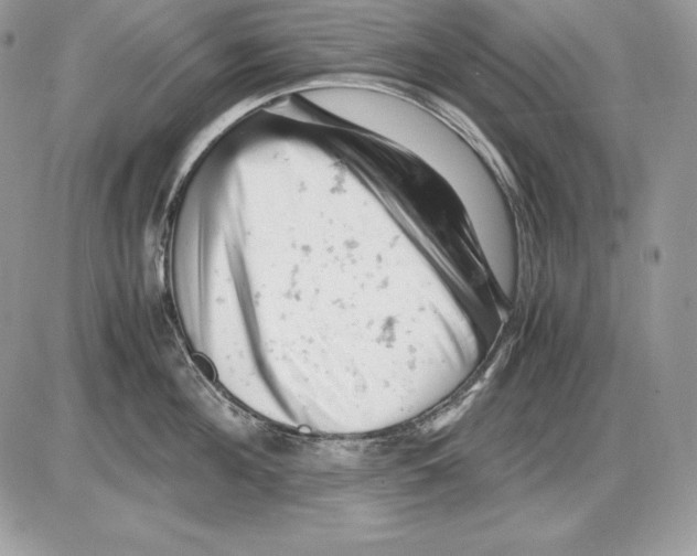 X0000085750908200704131708