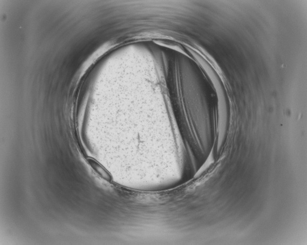 X0000085750909200704131708